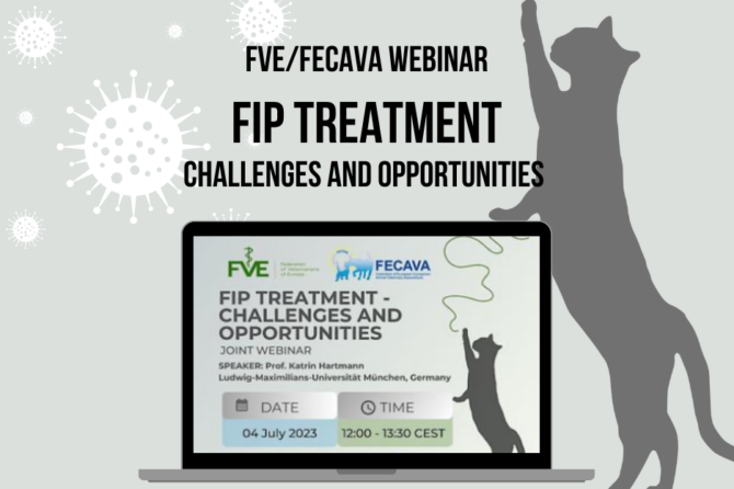 FVE and FECAVA Collaborate to Address Feline Infectious Peritonitis (FIP) Treatment Challenges