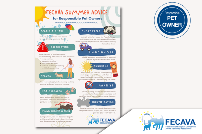 New Infographic: FECAVA Summer Advice for Responsible Pet Owners
