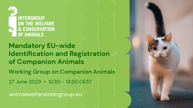 Online Event on Mandatory EU-wide Identification and Registration of Companion Animals