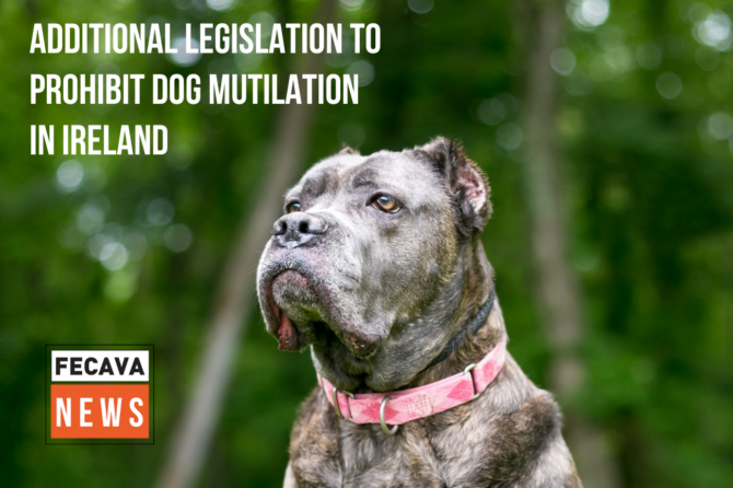 Additional Legislation to Punish Dog Mutilation in Ireland