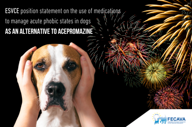 ESVCE position statement on the use of medications to manage acute phobic states in dogs as an alternative to acepromazine