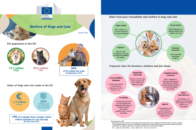 Better welfare for dogs and cats in EU